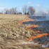 На территории Якутска действует запрет на выжигание сухой травы