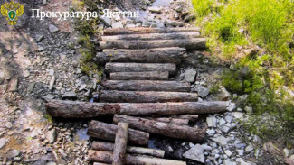 В Хангаласском районе прокуратура направила в суд уголовное дело о незаконной рубке лесных насаждений