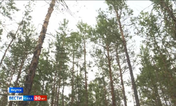С начала пожароопасного сезона в Якутии ликвидирован 161 лесной пожар