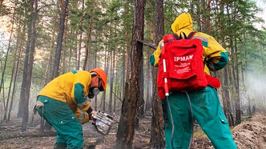 На территории республики производится тушение 7 лесных пожаров