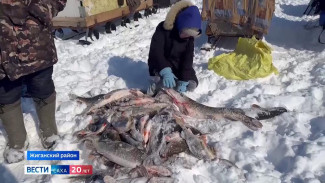 В Жиганском районе прошел фестиваль подледной рыбалки "Мормышка"