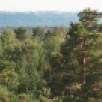 Погодные сюрпризы и лесные пожары. Какая погода будет в Якутии в августе?