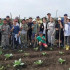 Стандарт ответственного трудоустройства несовершеннолетних приняли в Якутии