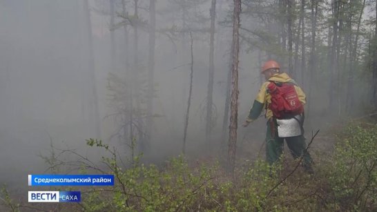 В Якутске за сутки потушили 27 лесных пожаров