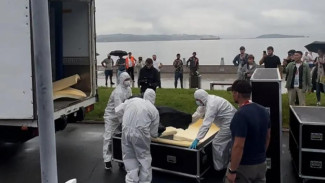 Мамонтёнка возрастом 130 тысяч лет транспортировали из Владивостока обратно в Якутск