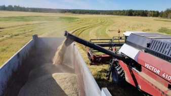 Рекордный урожай зерна ожидается в Якутии