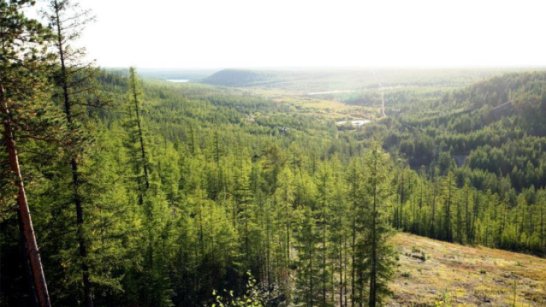 В лесах регионального характера Якутии отменён режим ЧС