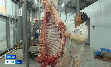 На территории городского округа "Город Якутск" открыли первый убойный цех крупного рогатого скота