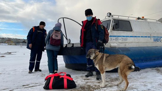 В Якутске спасли собаку, застрявшую во льдах