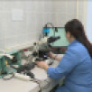 В Якутии создали вакцину от мыта лошадей