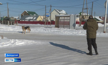 Номнуо 200-чэкэ ыты туттулар