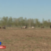 Ходуһалары төһө туһаналларын бэрэбиэркэлииллэр