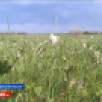 Прогноз погоды в Якутии на 7 июня