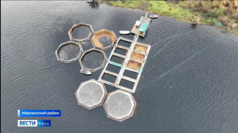 Выпуск "Вести Саха" 29.09.2025 (11:30)