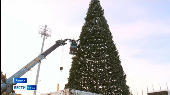 В преддверии праздничного сезона по всему Якутску устанавливают новогодние ели
