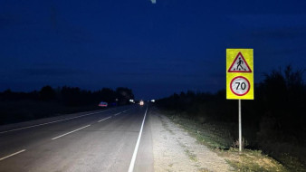 В Хангаласском районе в результате наезда автомобилем на лошадей пострадал водитель