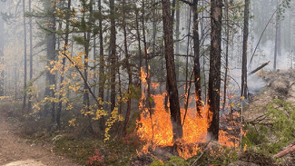 В Якутске локализован лесной пожар по Вилюйскому тракту