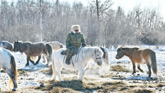 Якутия один из лидеров по количеству предпринимателей в сфере сельского хозяйства по стране