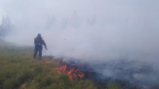 За сутки ликвидировано 45 природных пожаров