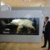 На выставке "Россия" проходит выставка палеонтологических находок из Якутии