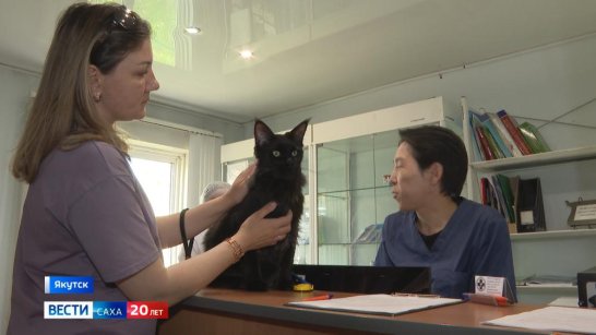 В Якутии осенью пройдет второе чтение закона о регистрации домашних животных