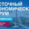 Деловая программа Восточного экономического форума–2025 опубликована полностью
