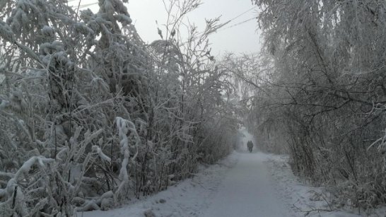 Прогноз погоды в Якутске на 23 декабря