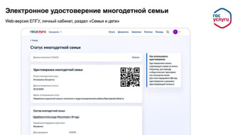 В России с 1 октября внедряется цифровое удостоверение многодетной семьи
