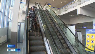 Необычная профессия и настоящая женская дружба. В аэропорту Якутска работают кинолог Туйаара и её помощница Катана