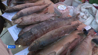 В Якутске проходит XV республиканская ярмарка "Рыба Якутии"