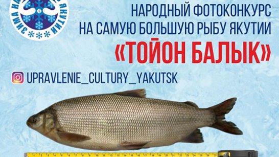 В Якутии проводится народный фотоконкурс «Царь Рыба»