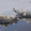 В ближайшие сутки ожидается вскрытие реки на участке Якутск — Кангалассы