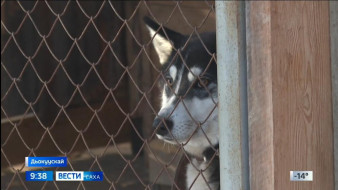 Выпуск "Вести Саха" 30.10.2025 (09:30)