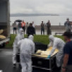 Мамонтёнка возрастом 130 тысяч лет транспортировали из Владивостока обратно в Якутск