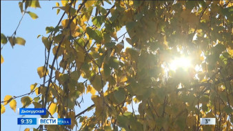 В Якутии за сутки локализован 1 природный пожар