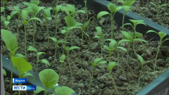 В Якутске состоится республиканский агрономический форум