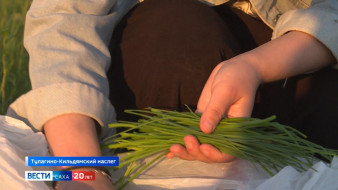 В Якутии начался сезон сбора зелёного лука