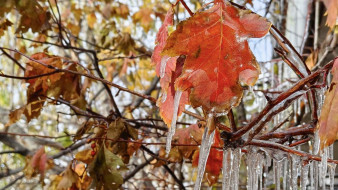 Прогноз погоды в Якутии на 30 сентября