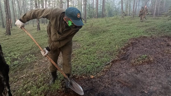 За сутки ликвидировано 4 природных пожара на площади свыше 4 тыс.га