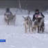 В Нерюнгринском районе прошли гонки на оленьих упряжках в рамках Дня оленевода