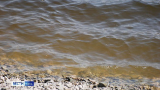 Прокуратура Якутии о профилактике несчастных случаев с детьми на воде