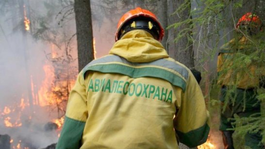 Оперативная информация о лесных пожарах на 23 июня на территории Якутии