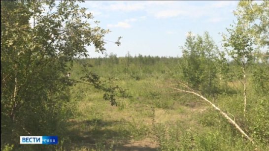 В Якутии за прошедшие сутки ликвидировано 3 лесных пожара