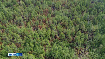 Өрөспүүбүлүкэҕэ ойуур баһаардарын утары үлэ салҕанар