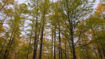 2 октября. День в истории - даты, события