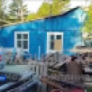 В Мирнинском районе медведь проник в частный дом