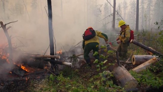 В Якутии за прошедшие сутки ликвидировали 6 лесных пожаров