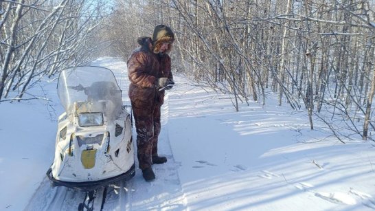В Кобяйском районе завершены работы по определению численности охотничьих ресурсов