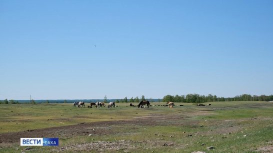Якутское УГМС: в республике прогнозируются заморозки