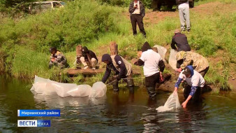 Свыше миллиона мальков сиговых пород рыб выпустили в Вилюйское водохранилище